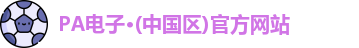PA电子